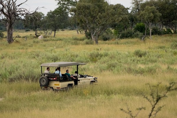 Individuele rondreis botswana