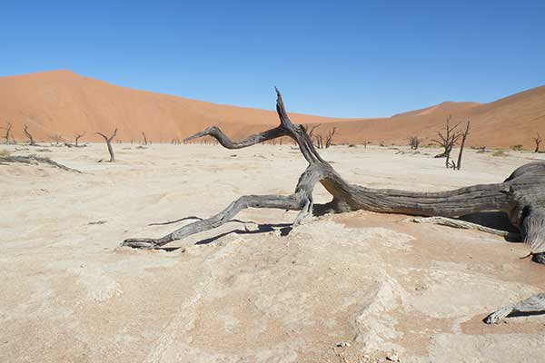 Individuele rondreis namibië