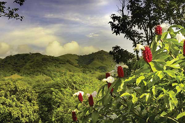 Individuele rondreis Costa Rica